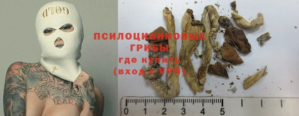 стафф Алзамай