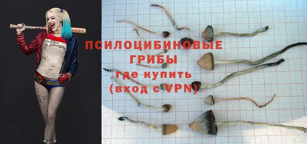 mix Алексин
