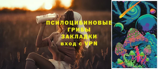 стафф Алзамай
