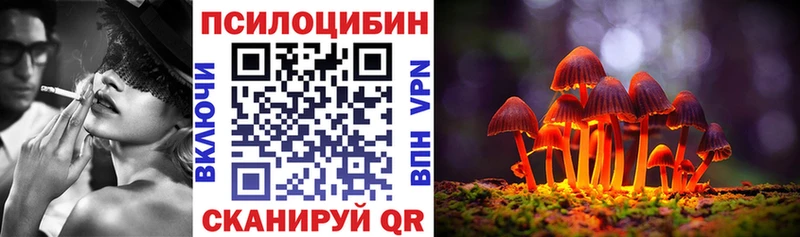 darknet какой сайт Алупка Псилоцибиновые грибы GOLDEN TEACHER
